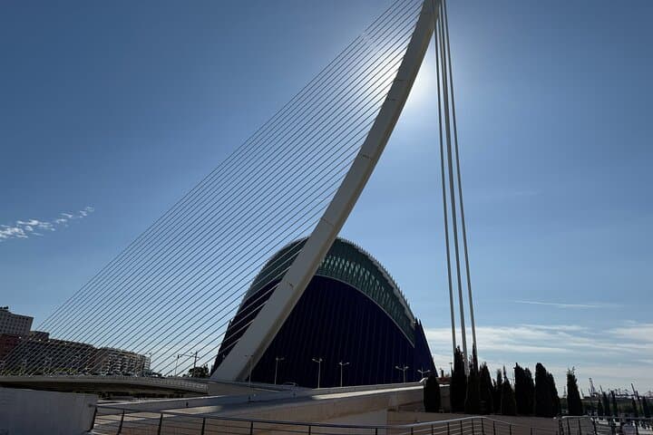 Futuristic Valencia: City of Arts & Sciences Guided Walking Tour photo 5