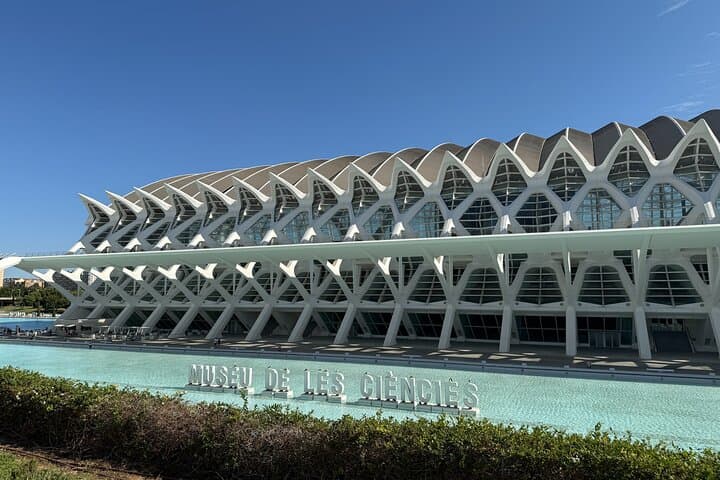 Futuristic Valencia: City of Arts & Sciences Guided Walking Tour photo 6