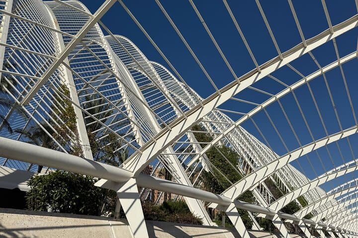 Futuristic Valencia: City of Arts & Sciences Guided Walking Tour photo 4