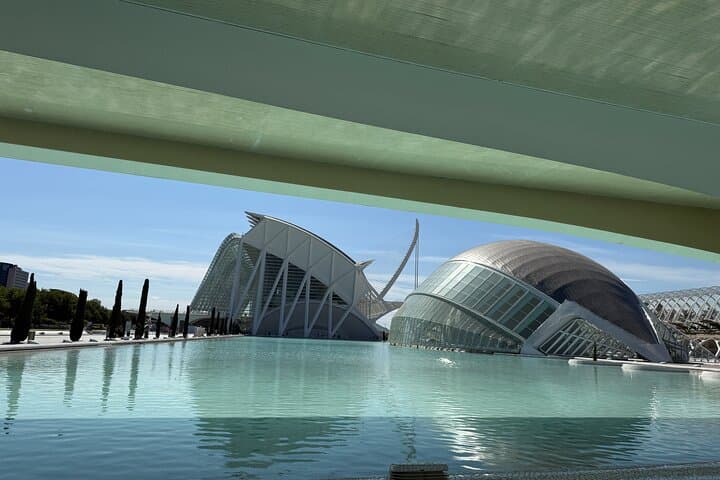 Futuristic Valencia: City of Arts & Sciences Guided Walking Tour