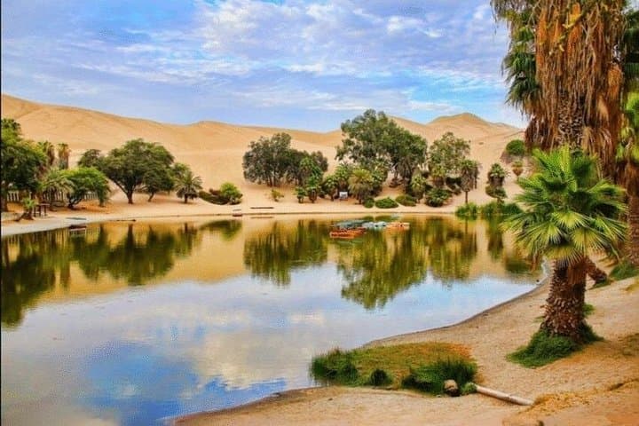 Paracas to Huacachina Full-Day: Ballestas Islands, Sandboarding & Vineyard Tasting photo 2