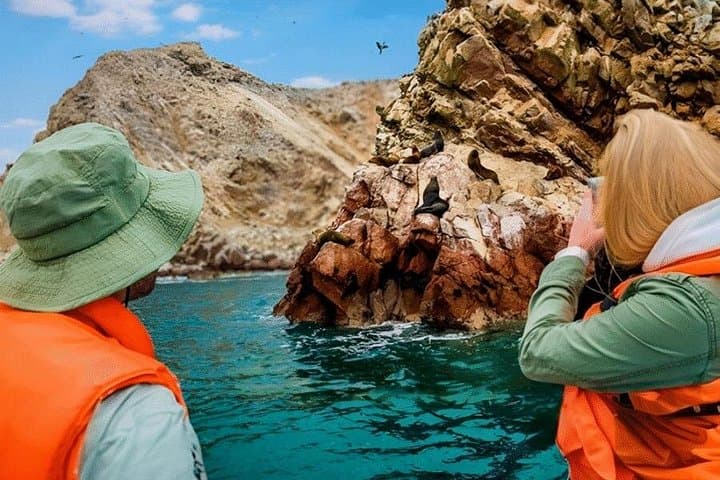 Paracas to Huacachina Full-Day: Ballestas Islands, Sandboarding & Vineyard Tasting photo 3