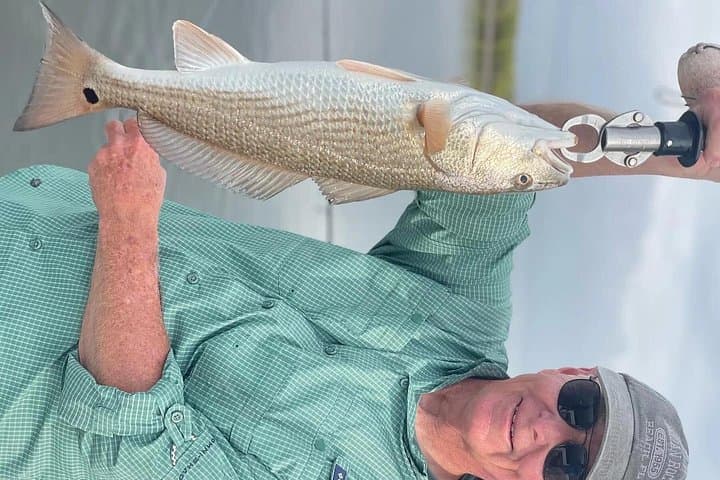 Full-Day Tarpon Springs Fishing Charter — Snook, Redfish & Seatrout photo 2