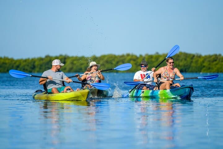 Shell Key Kayak Tour with Capt Yak — Mangrove Tunnels & Wildlife