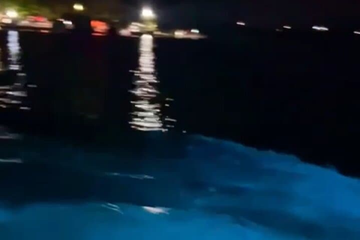 Luminos Lagoon Night Boat Tour — Falmouth Bioluminescent Experience photo 5