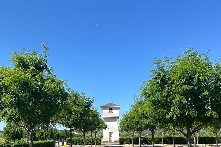 Private 6-Hour Napa & Sonoma Wine Tour — Priority Wine Pass 2-for-1 Tastings photo 5
