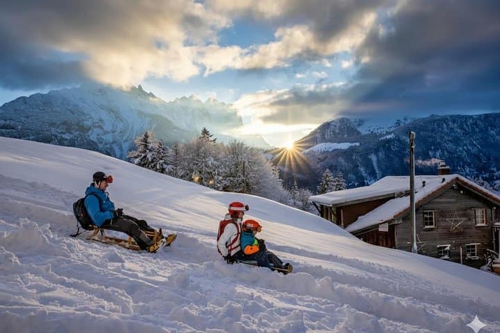 Kleine Scheidegg to Wengen Sledding Adventure: Guided Alpine Sledge Ride with Jungfrau Views photo 1