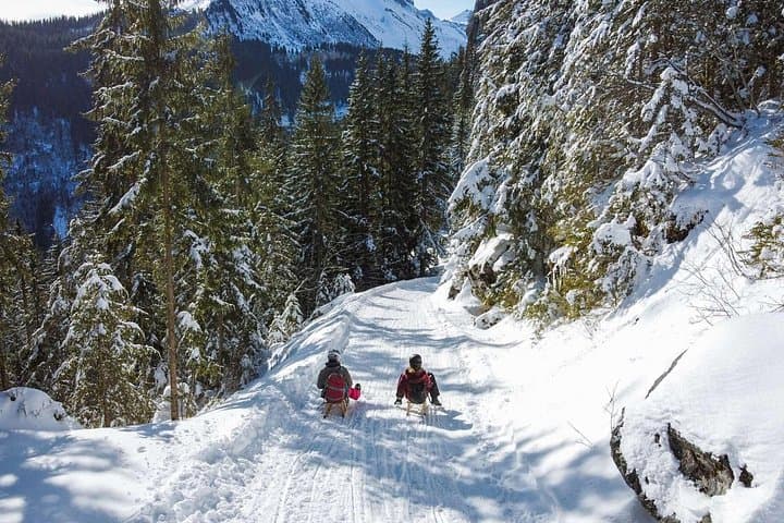 Kleine Scheidegg to Wengen Sledding Adventure: Guided Alpine Sledge Ride with Jungfrau Views photo 2