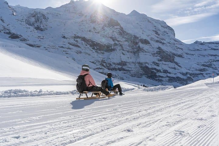 Kleine Scheidegg to Wengen Sledding Adventure: Guided Alpine Sledge Ride with Jungfrau Views photo 3