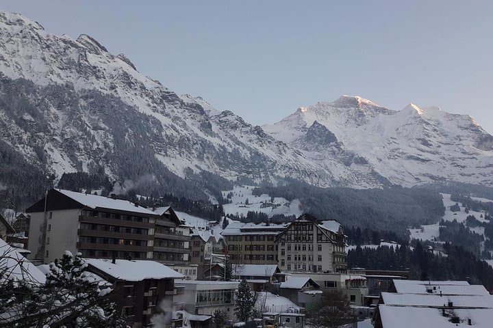 Kleine Scheidegg to Wengen Sledding Adventure: Guided Alpine Sledge Ride with Jungfrau Views photo 4