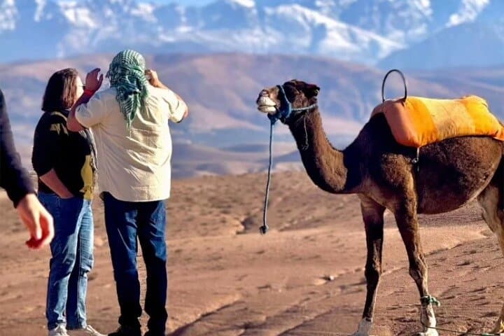 Agafay Desert Camel Ride, Quad-Bike Sunset & Berber Dinner near Marrakech