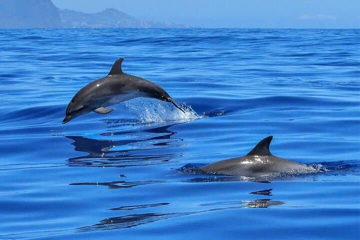 Private Letojanni Boat Tour: Taormina, Isola Bella & Etna Views photo 2