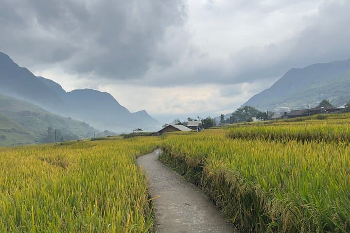 Sapa 2-Day Muong Hoa Valley Trek | Homestay with Hmong & Giay Villages photo 3