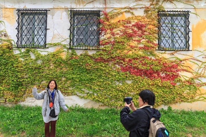 Danube Valley Delights: Private Full-Day Wachau Valley Tour from Vienna photo 6