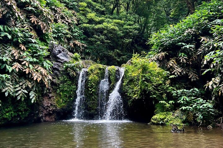 Trails of Waterfalls and Ancient Mills: São Miguel Day Hike to Ribeira dos Caldeirões photo 5