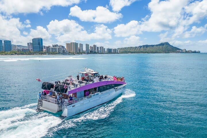 Waikiki Whale Watching: 2-Hour Humpback Safari from Honolulu photo 5