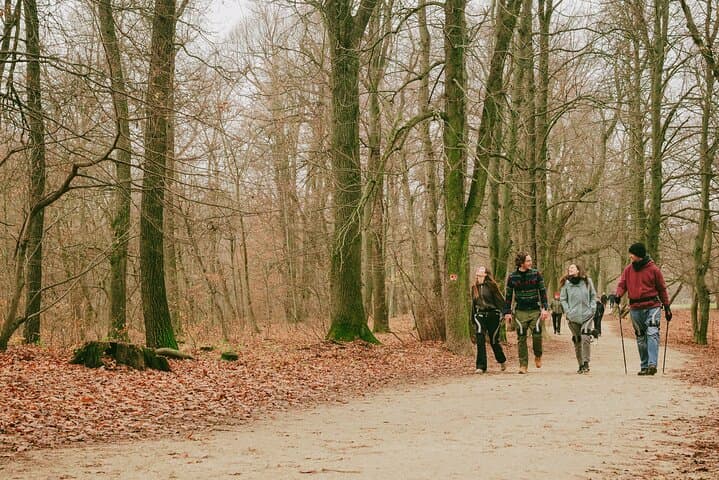 Exoskeleton Hike in the Buda Hills: Normafa to Elizabeth Lookout photo 4