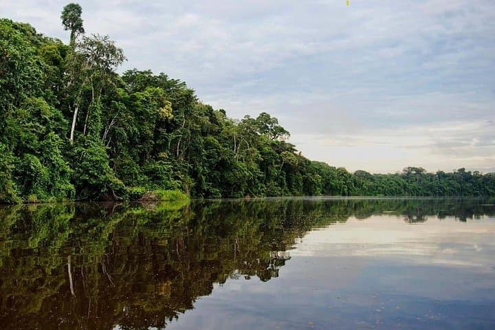 Full-Day Lake Valencia: Fishing, Wildlife & Rainforest Along Tambopata photo 3