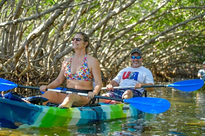 Shell Key Private Kayak Tour: 1.5-Hour Guided Paddle from Tierra Verde