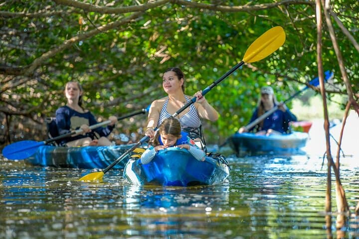 Shell Key Private Kayak Tour: 1.5-Hour Guided Paddle from Tierra Verde photo 2