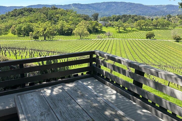 Private 8-Hour Napa & Sonoma Wine Tour with Priority Wine Pass photo 6
