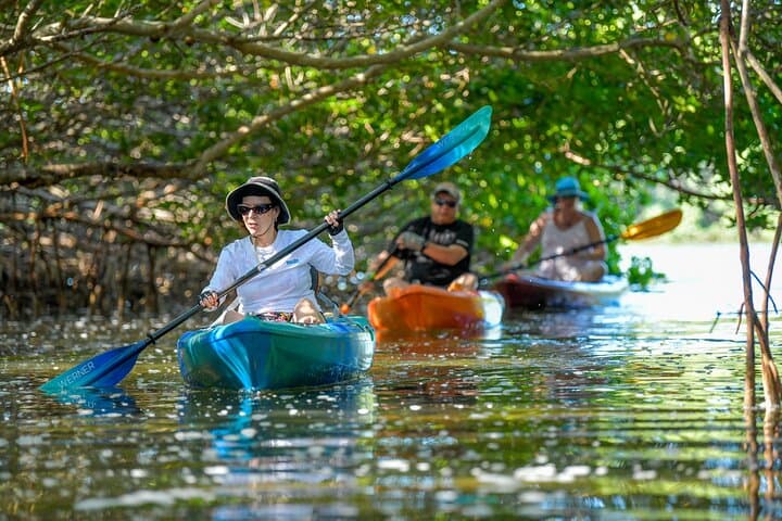 Shell Key Private Kayak Tour: 1.5-Hour Guided Paddle from Tierra Verde photo 3