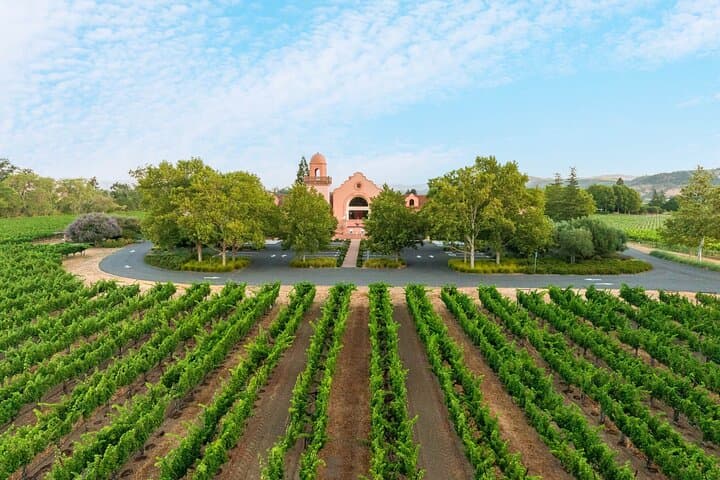 Private 8-Hour Napa & Sonoma Wine Tour with Priority Wine Pass photo 2