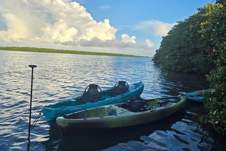 Shell Key Private Kayak Tour: 1.5-Hour Guided Paddle from Tierra Verde photo 4