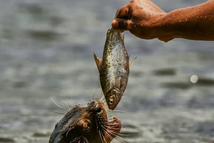 Full-Day Lake Valencia: Fishing, Wildlife & Rainforest Along Tambopata