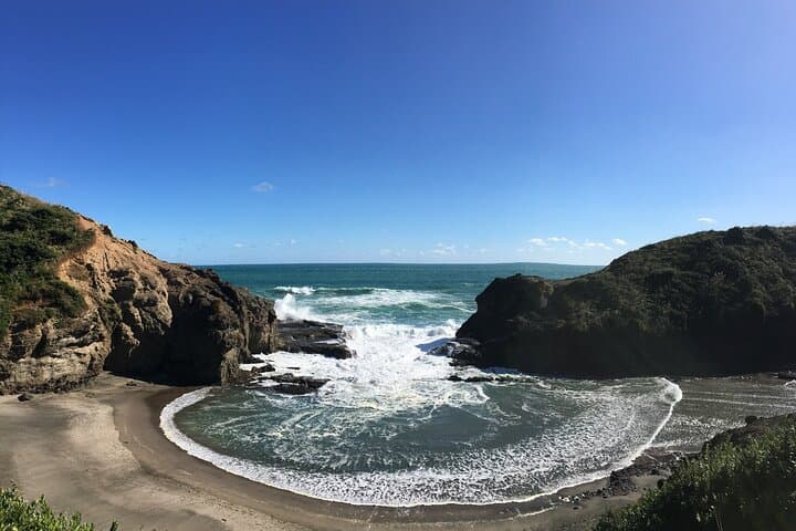 Auckland Full-Day Sightseeing Tour: Volcano Views, West Coast Beaches & Devonport photo 5