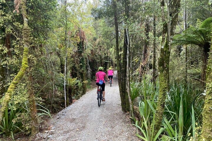 Hokitika Gorge & West Coast Wilderness eBike Tour — Gorge Walk, Lake Kaniere & Hans Bay photo 5