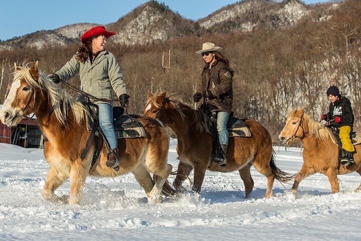 Horseback Riding Near Sapporo: Wild Mustang Trails at Mt. Hakken photo 3