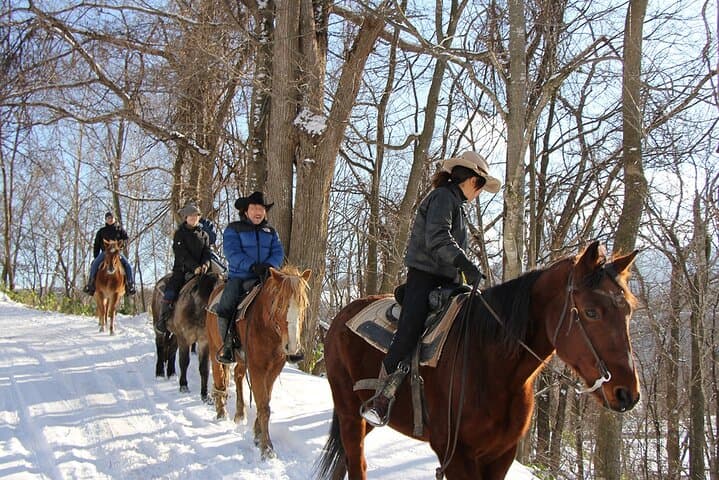 Horseback Riding Near Sapporo: Wild Mustang Trails at Mt. Hakken photo 5