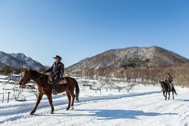Horseback Riding Near Sapporo: Wild Mustang Trails at Mt. Hakken photo 4