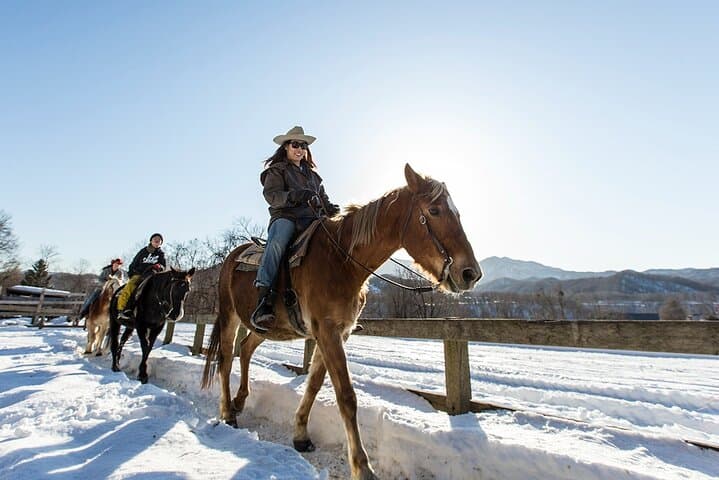 Horseback Riding Near Sapporo: Wild Mustang Trails at Mt. Hakken photo 2