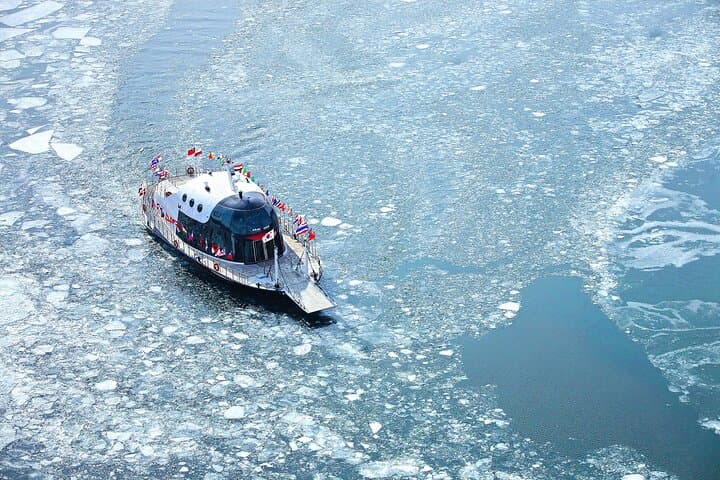 Winter Wonders: Half-Day Eobi Ice Valley & Nami Island Tour from Seoul photo 3