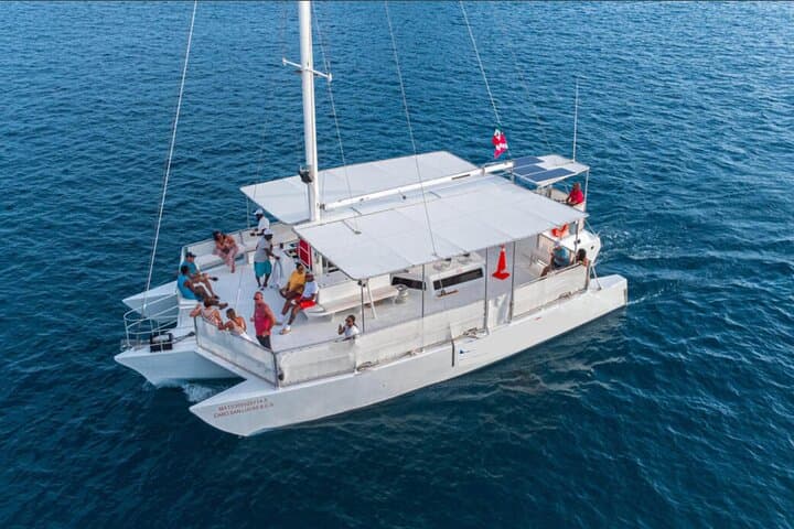Cabo San Lucas Whale Watching: Morning Humpback Cruise & Arch Views photo 2