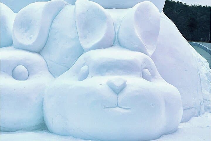 Frozen Ice Wall at Cheongyang Alps Village — Day Trip from Seoul photo 2