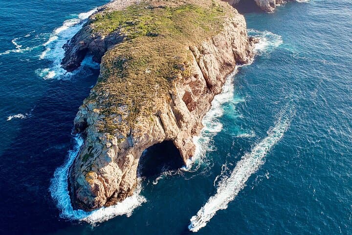 Maria Island & Ile Des Phoques Cruise: Seals, Wombats and Convict History photo 3