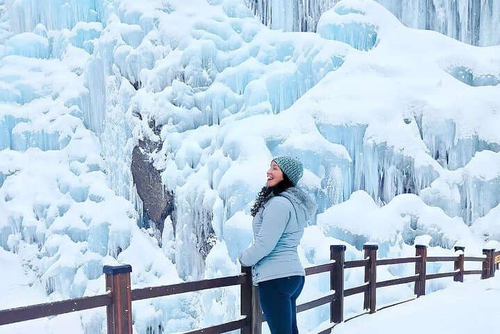 Winter Day Trip from Seoul: Nami Island, Gangchon Railbike & Petite France photo 6