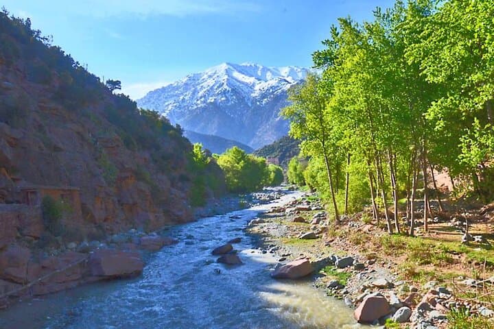Ourika Valley Day Tour and Waterfall Hike from Marrakech
