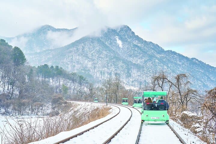 Day Trip to Nami Island, Eobi Ice Valley & Gangchon Rail Park — Railbike, Ice Walls & Scenic Paths photo 3
