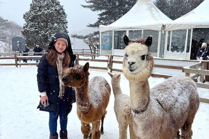 Day Trip from Seoul to Nami Island, Eobi Ice Valley & Alpaca World