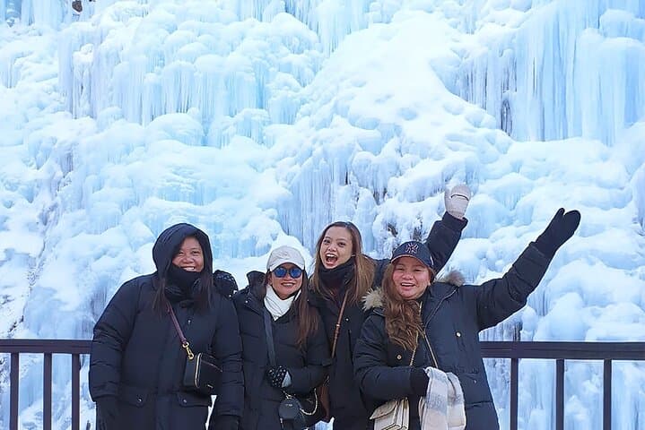 Day Trip from Seoul to Nami Island, Eobi Ice Valley & Alpaca World photo 4