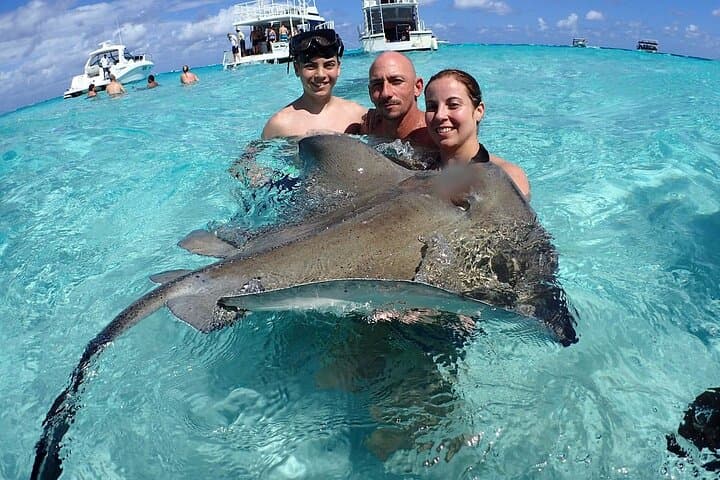 Stingray City Sandbar Snorkel and Starfish Point — Grand Cayman Half-Day Tour
