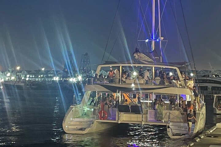 Cape Town Day Sail: Eco Ocean Safari with Table Mountain Views photo 4