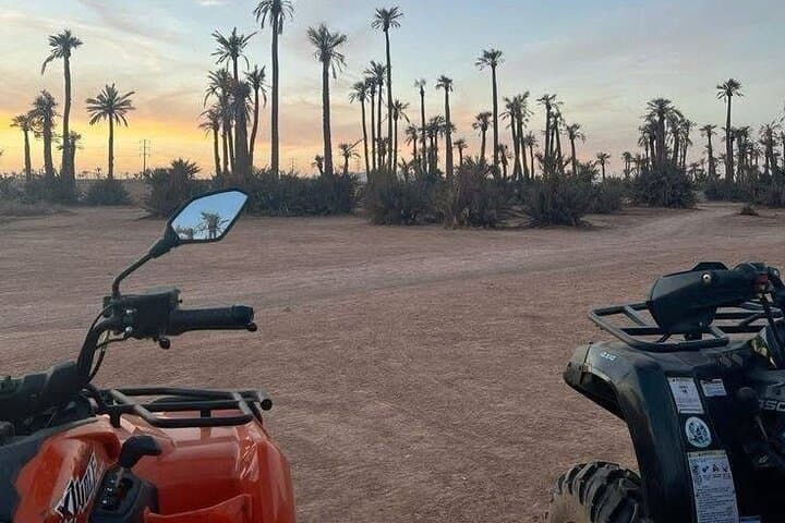 Marrakech 2-Hour Quad Bike Tour in the Palmeraie with Hotel Pickup photo 2