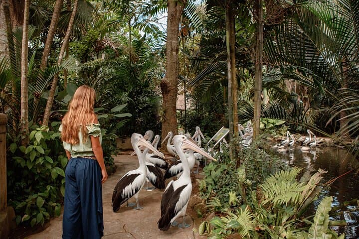 Bali City Pass: Classic Attractions, Sunrise Trek & More