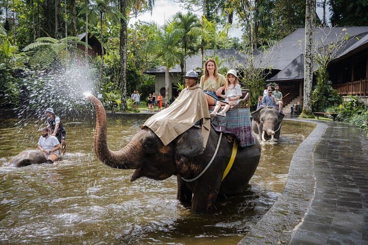 Bali City Pass: Classic Attractions, Sunrise Trek & More photo 6