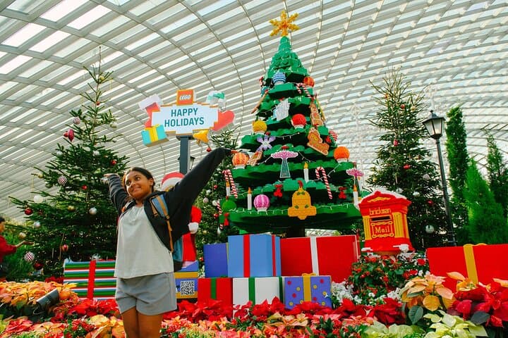 Gardens by the Bay: Complete Day Pass to Cloud Forest, Flower Dome & Supertrees photo 6